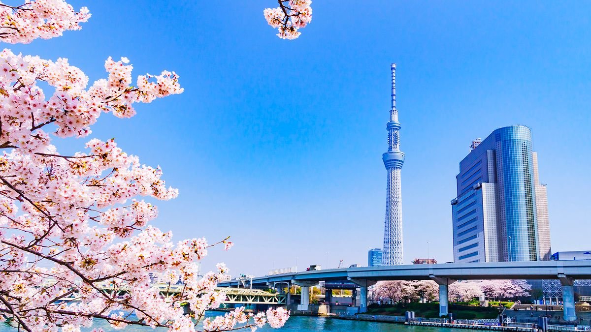 Rejs Chiny i Japonia z Szanghaju - MSC Bellissima