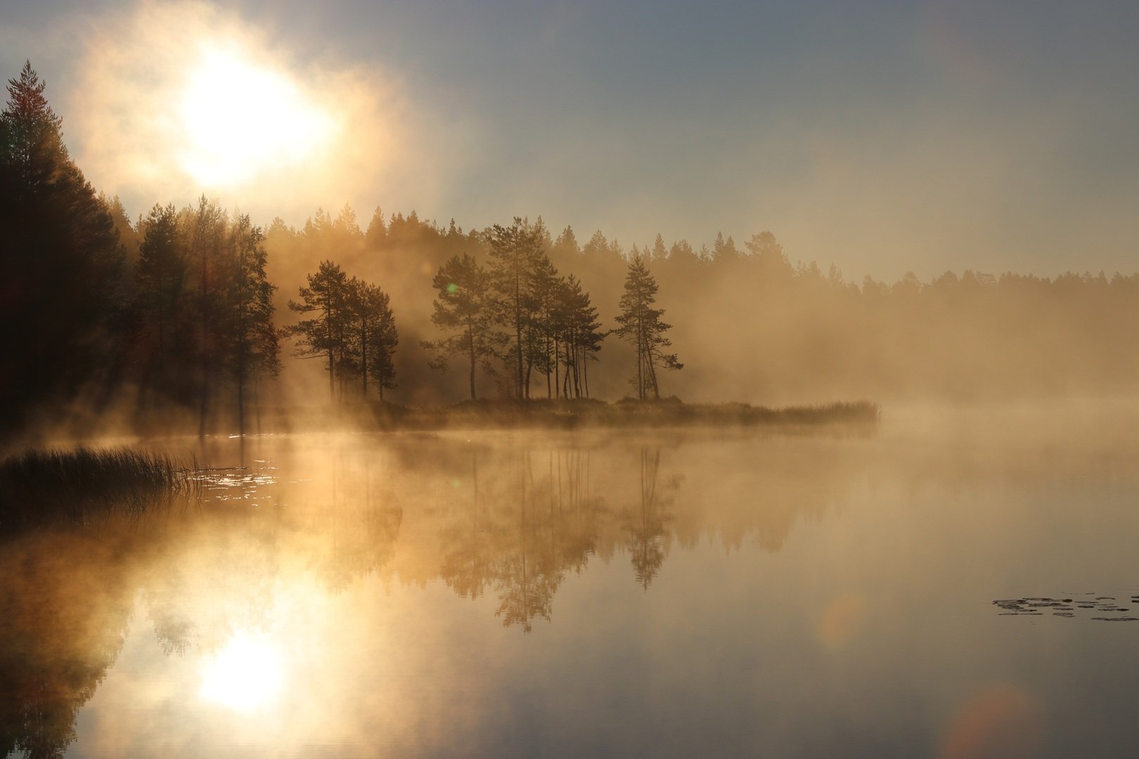 Sawonia Północna