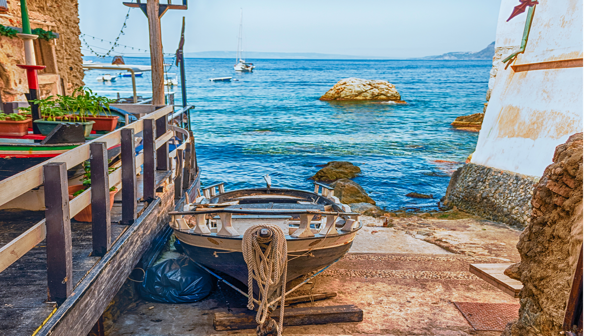 Scilla