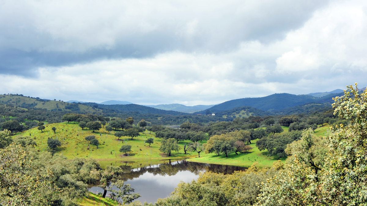 Sierra De Aracena Y Picos De Aroche 