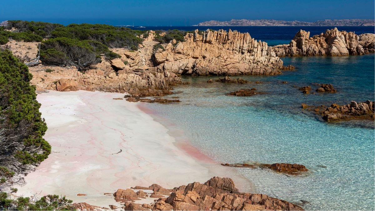 Spiaggia Rosa na wyspie Budelli
