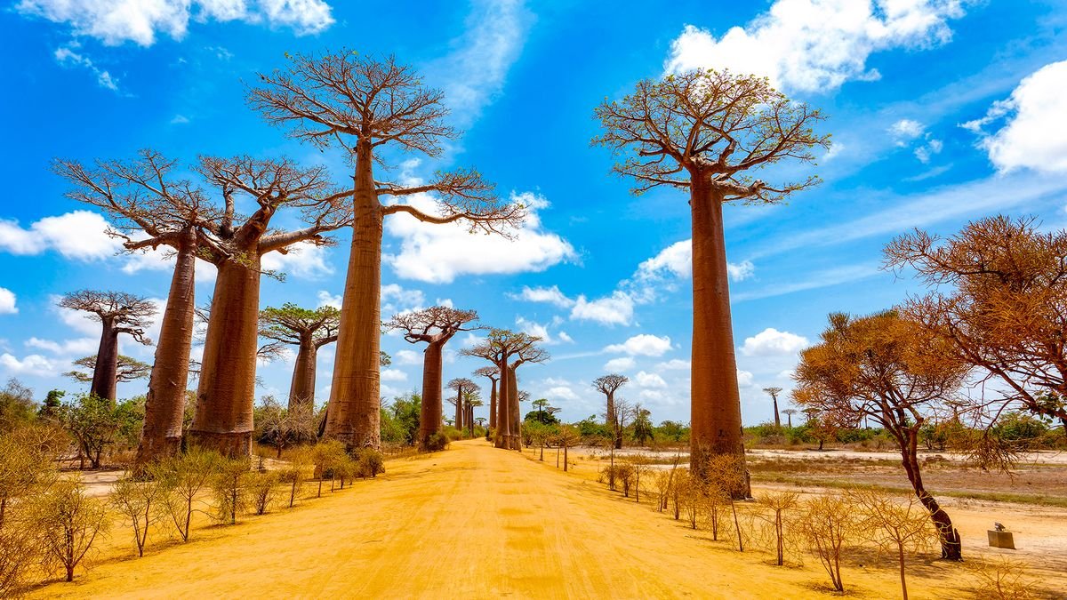 Rytmy Czerwonej Wyspy