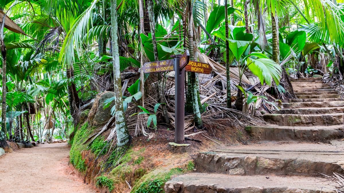 Vallée de Mai na wyspie Praslin