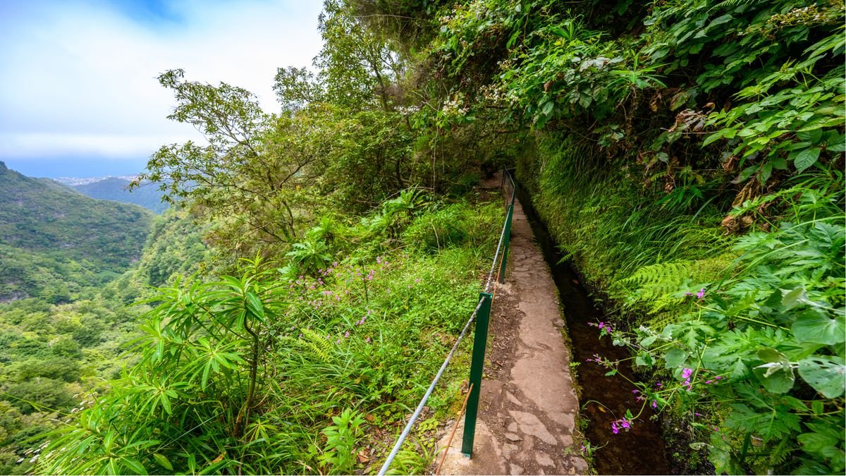 Trasa piesza Vereda Caldeirão Verde