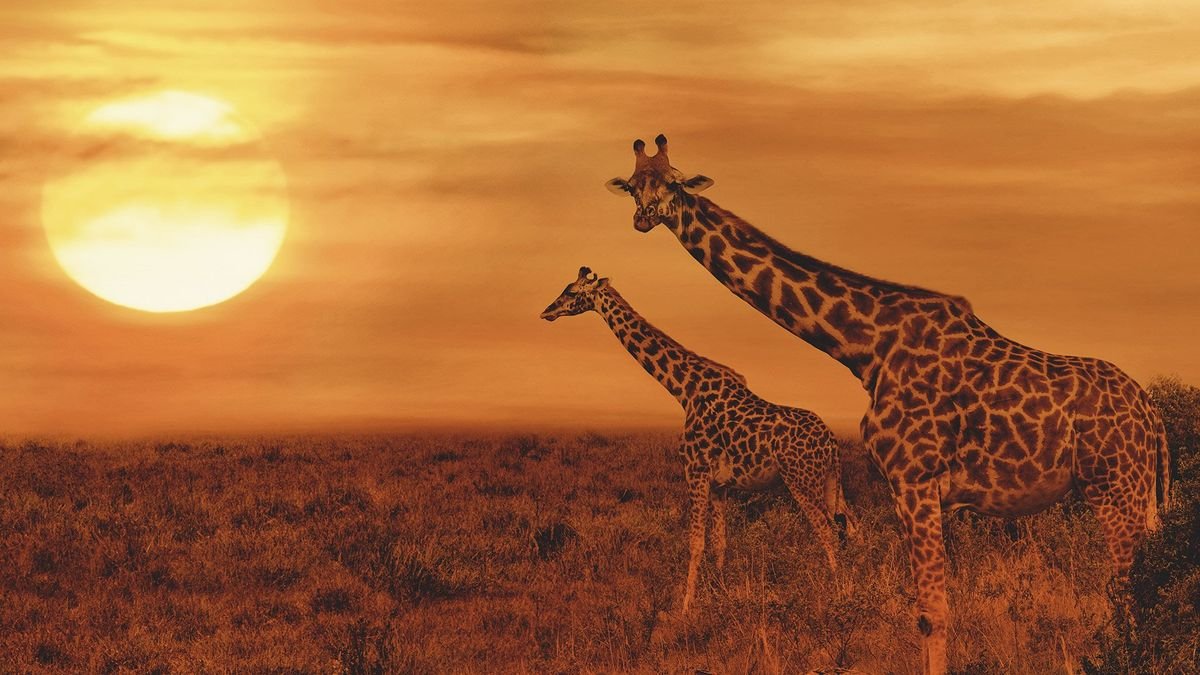 Wielka Piątka Afryki + Nest Style Beach Hotel Zanzibar