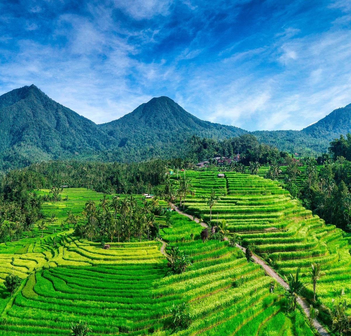 Bali