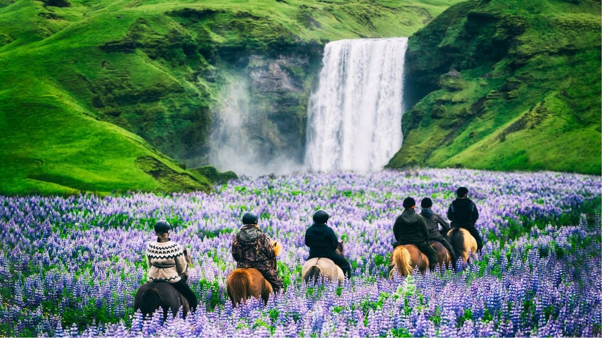 Islandia 