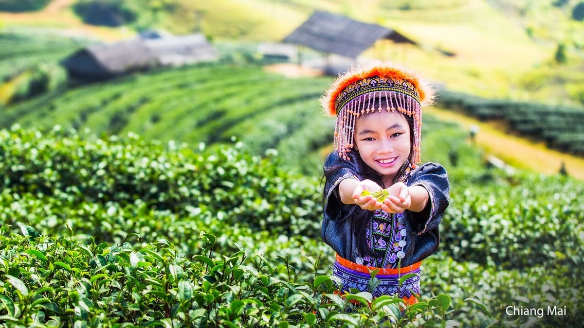 Kraina uśmiechu + iSanook Resort & Suites Hua Hin