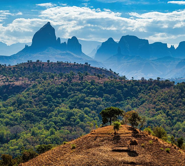 Etiopia