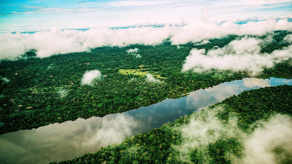 Od dzikiej Amazonii po rajskie Karaiby
