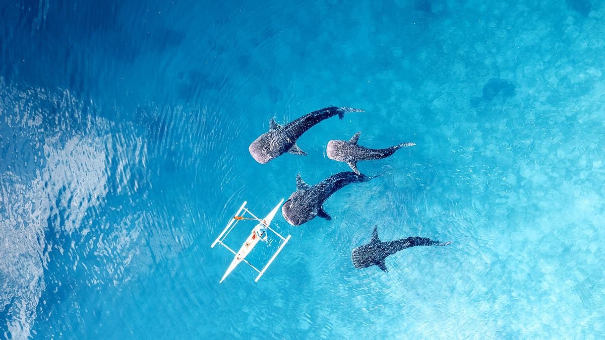 Filipiny: ocean przygód i wyspy czarów