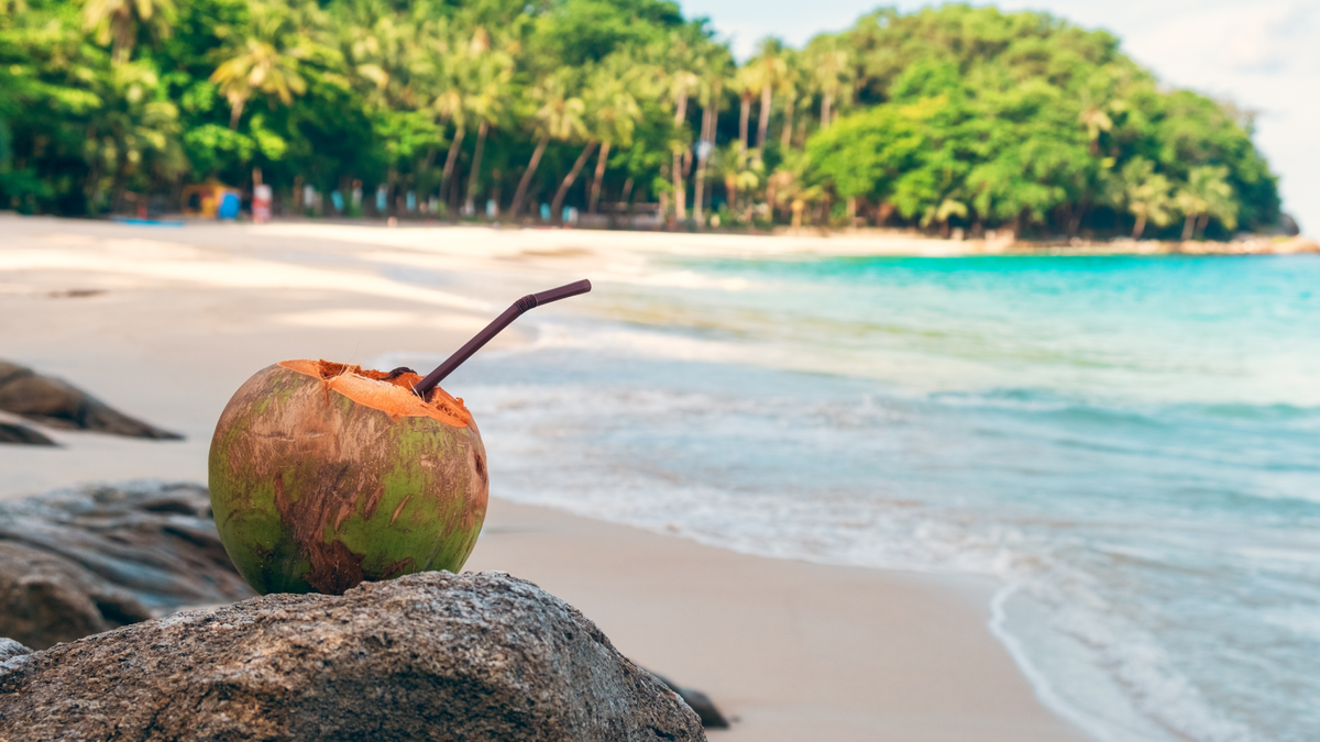 Coconut Beach 