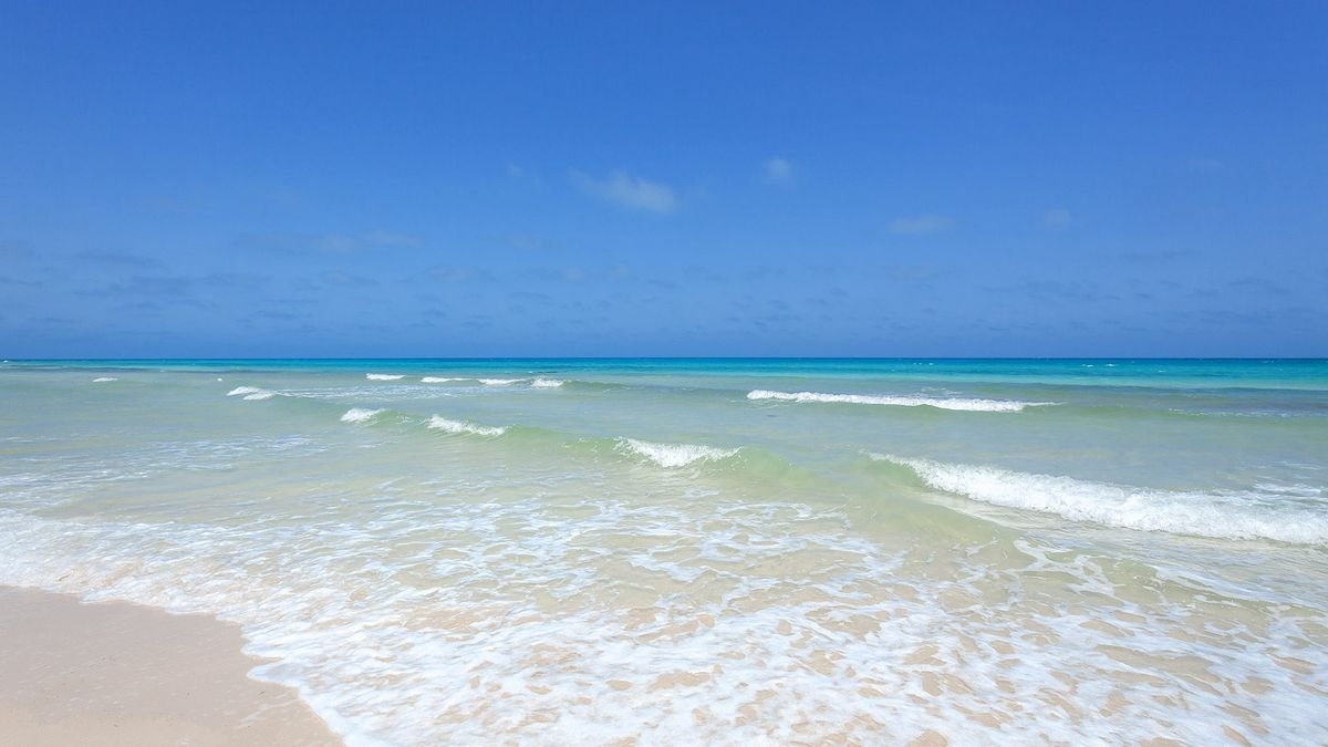 Hotel Le Petit Palais