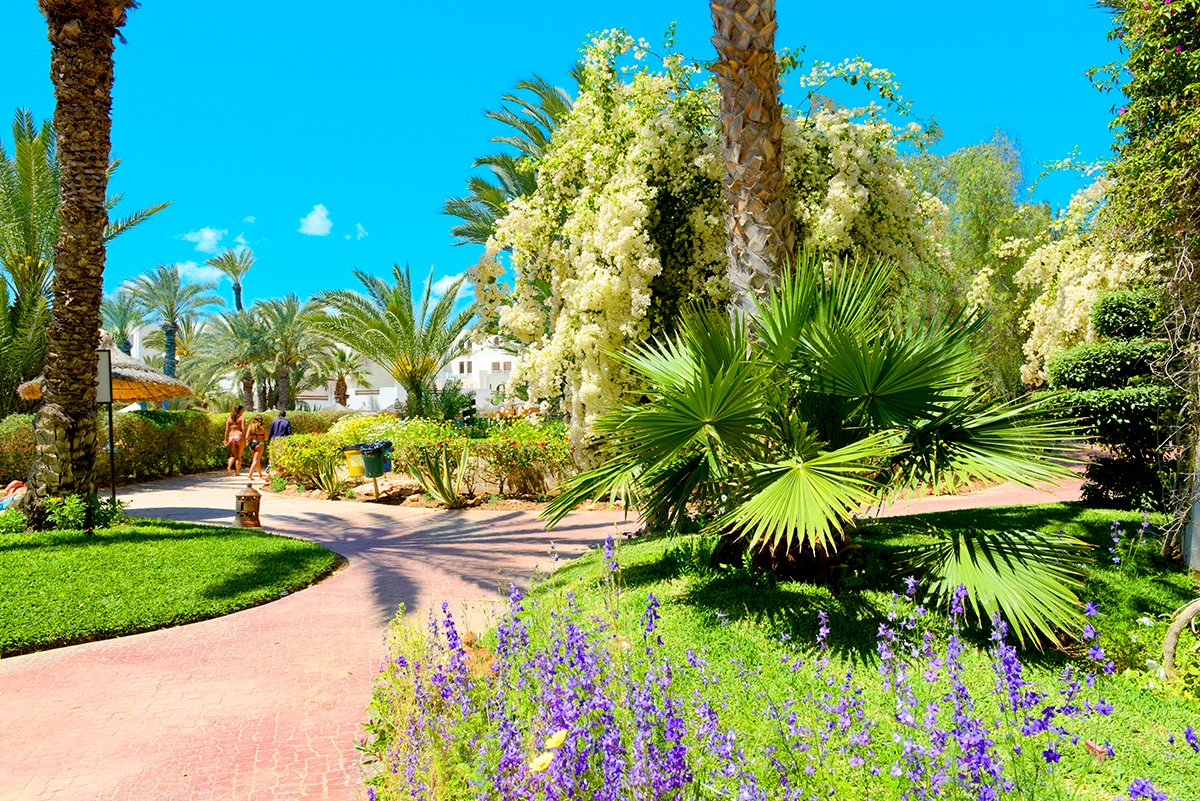 Hotel Djerba Resort