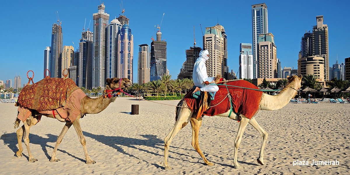 Wieżowce i karawany