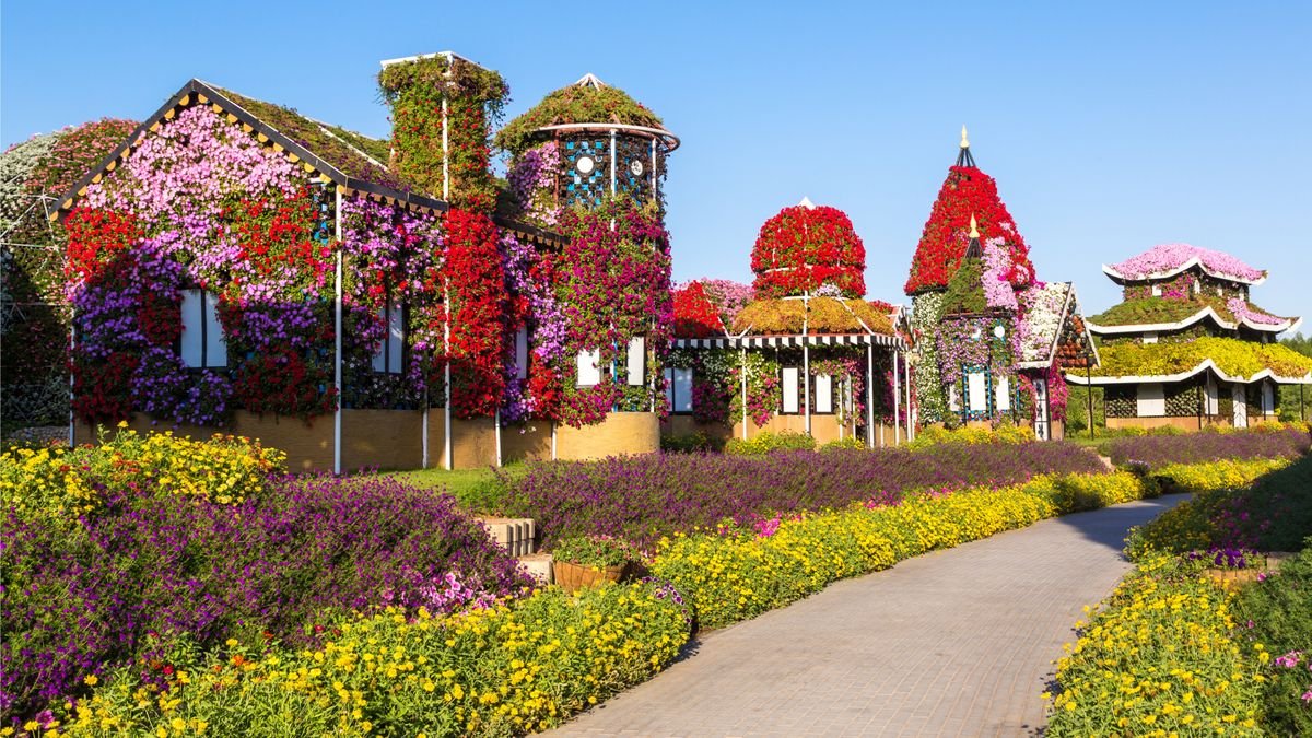  Ogrody Miracle Garden