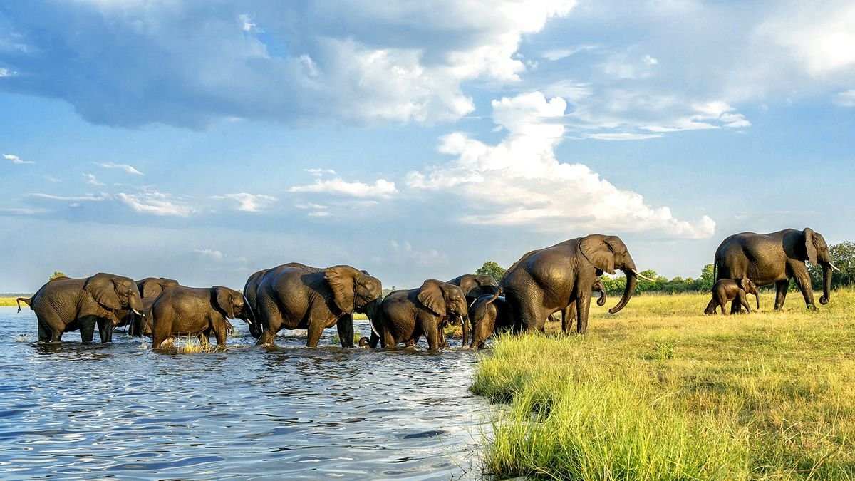 Bez trwogi po bezdrożach: Botswana i Zimbabwe (self-drive)