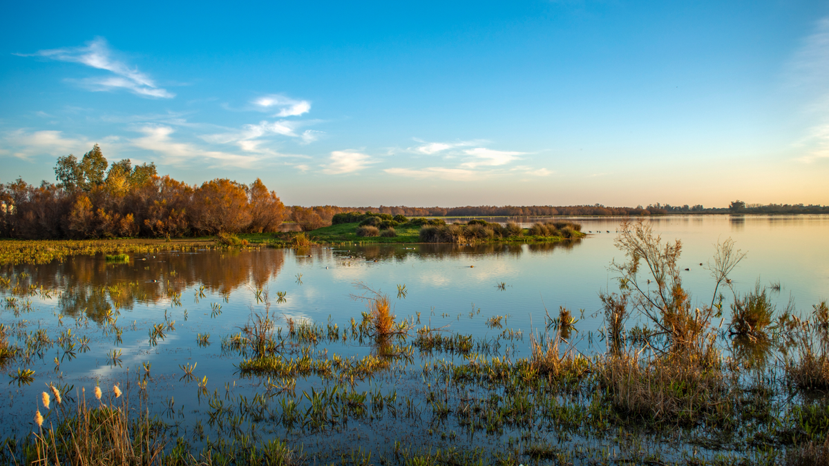 Park Naturalny Rzeki Odiel W Huelva 