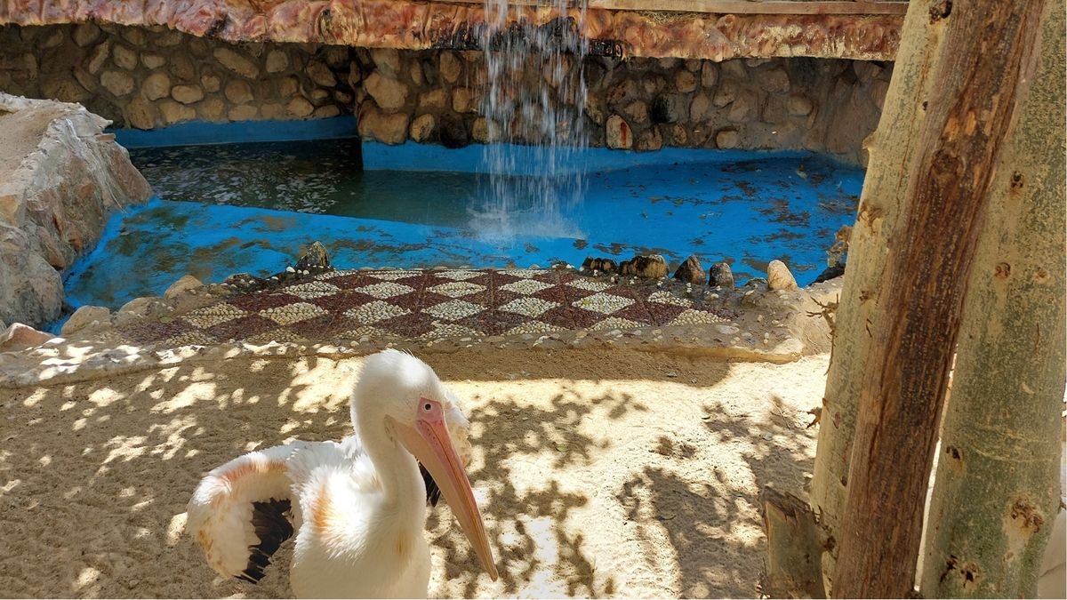 Hurghada Grand Aquarium