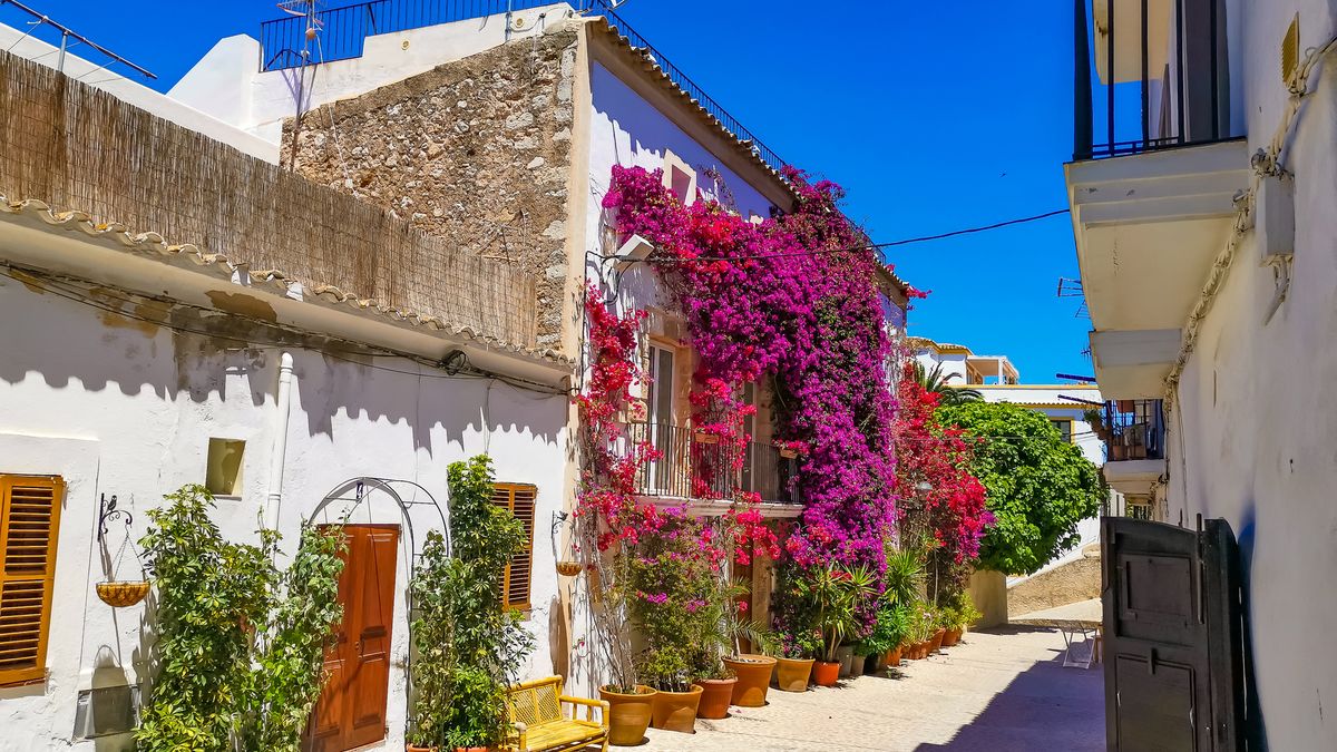 Ibiza śródziemnomorska roślinność