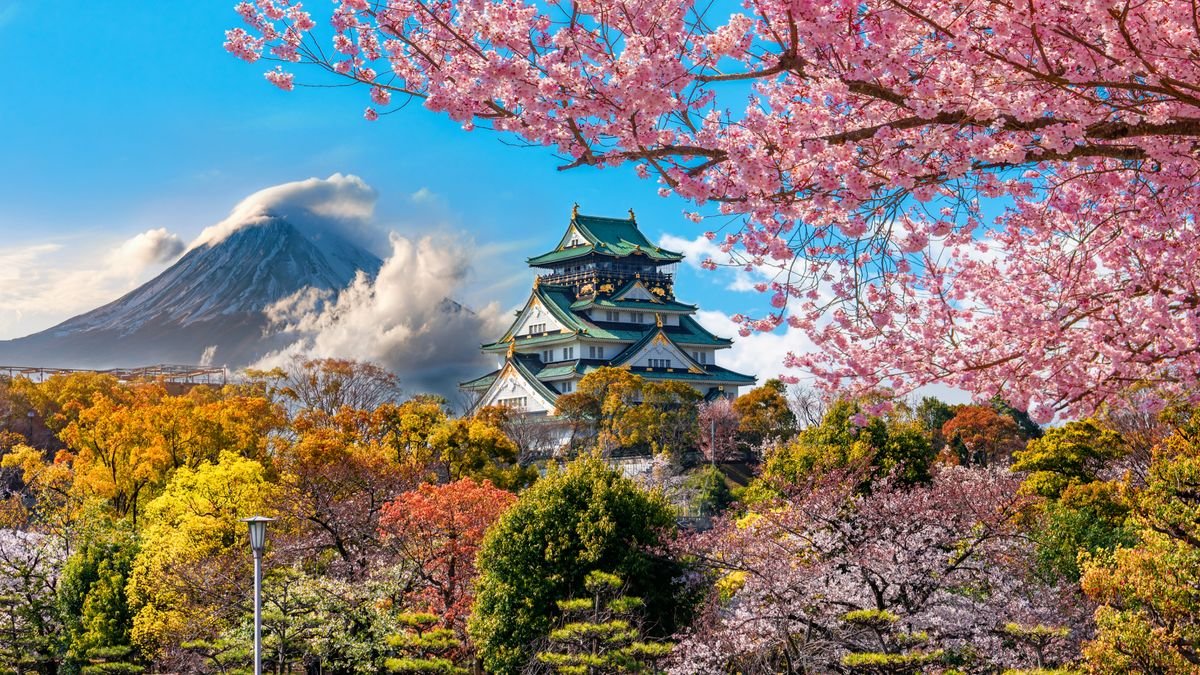 Japonia