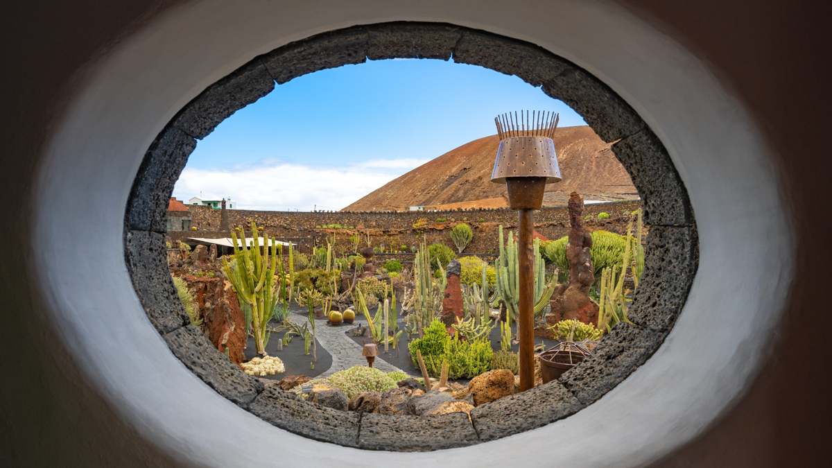 Jardin De Cactus