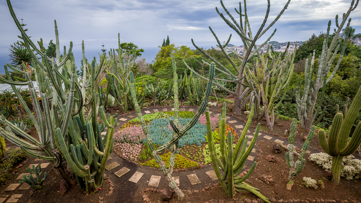 Jardin Botanico