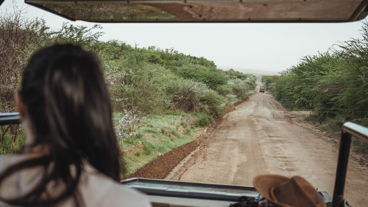 Jeep Safari