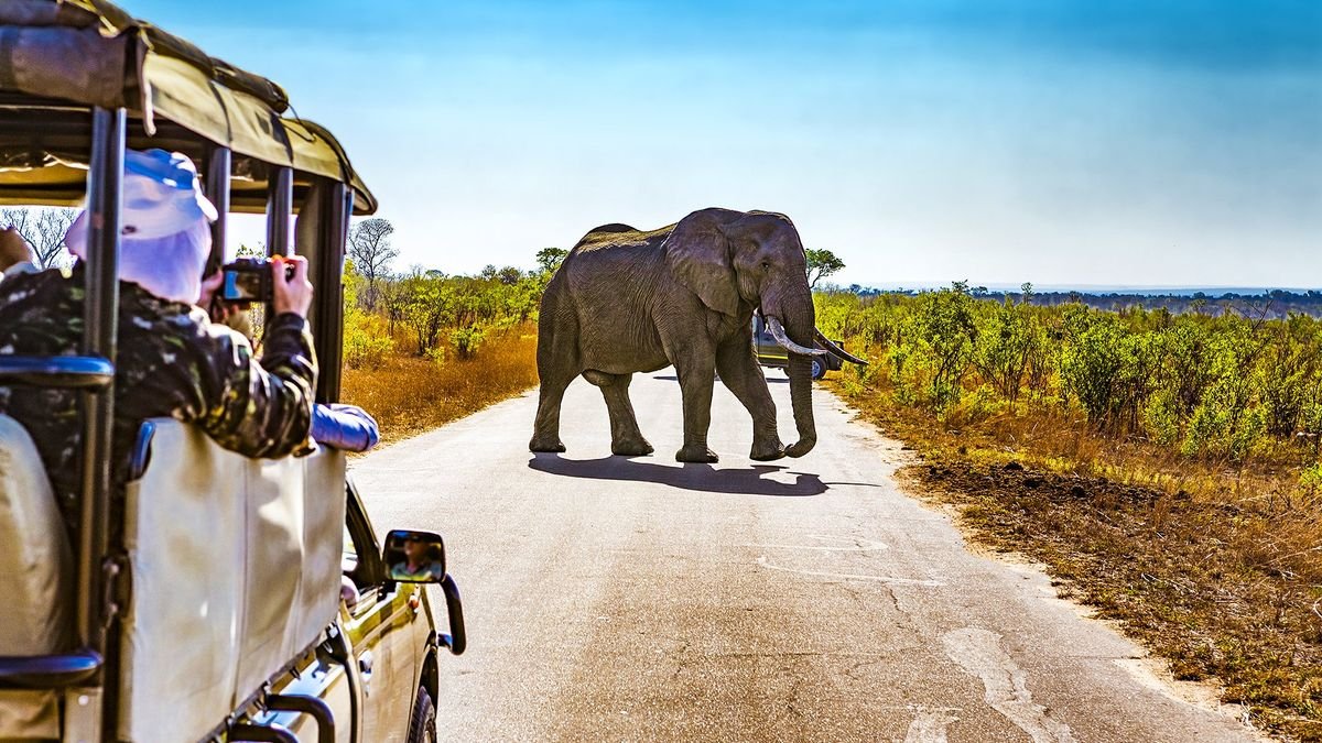 Safari z Wielką Piątką