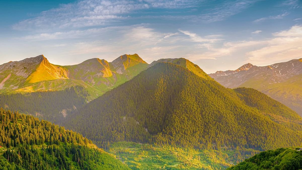 Meteory i inne gwiazdy