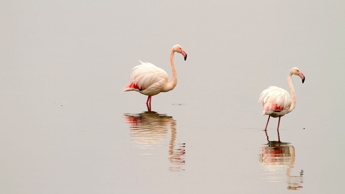 Szlakiem greckiej natury