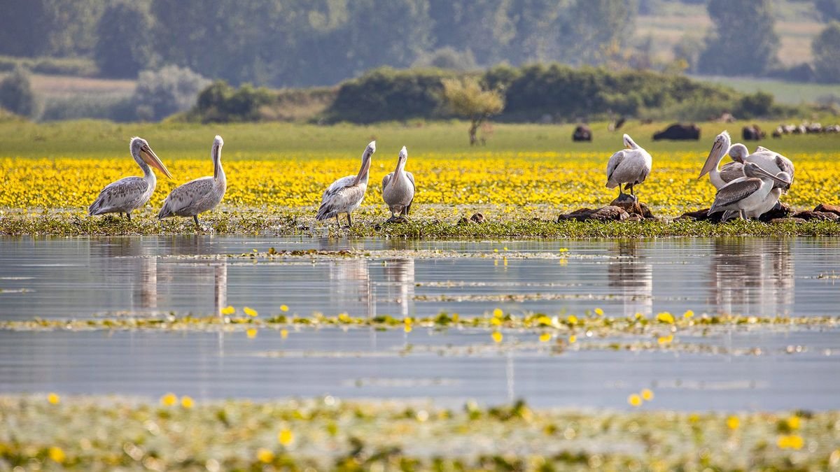 Szlakiem greckiej natury