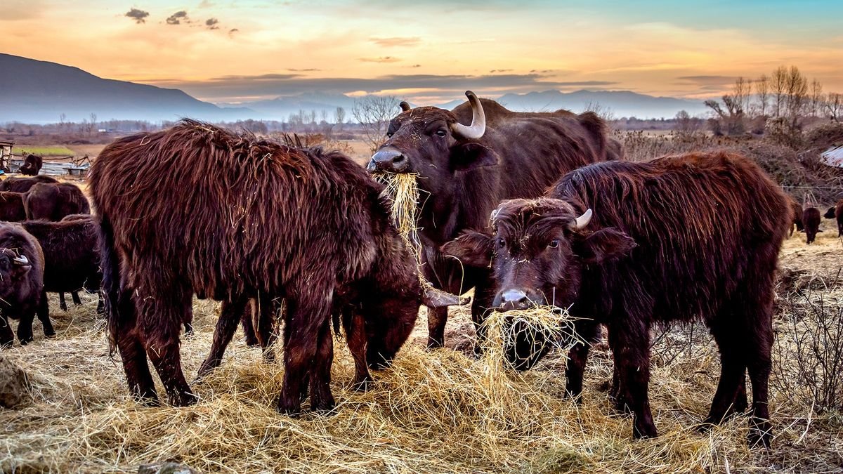 Szlakiem greckiej natury