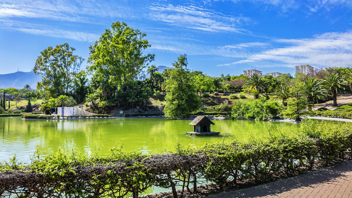 Park La Paloma