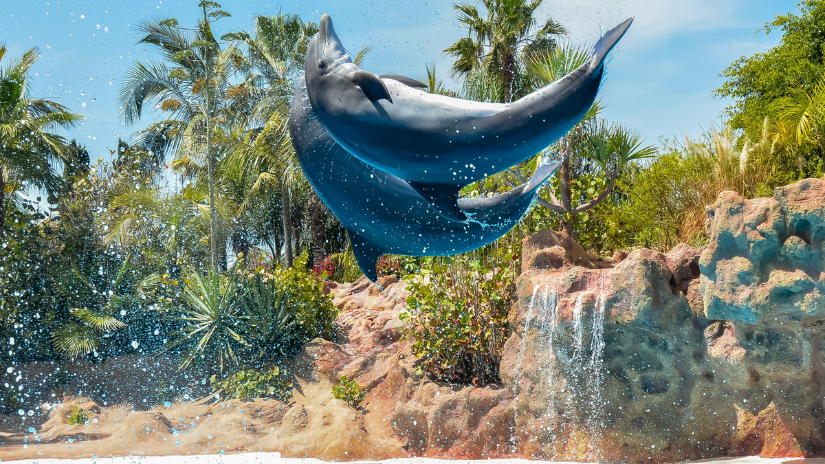 Marineland Catalunya  