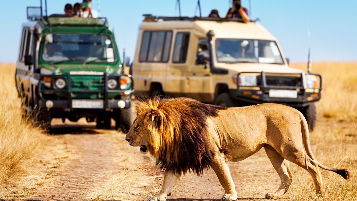 Safari Express + Hotel Neptune Beach