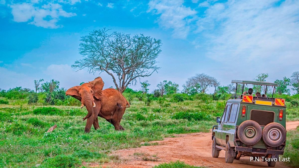 Afryka Dzika + Travellers Beach Hotel & Club