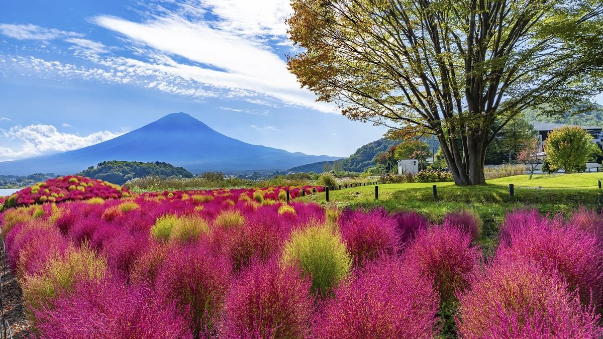 Japonia – aktywny zen