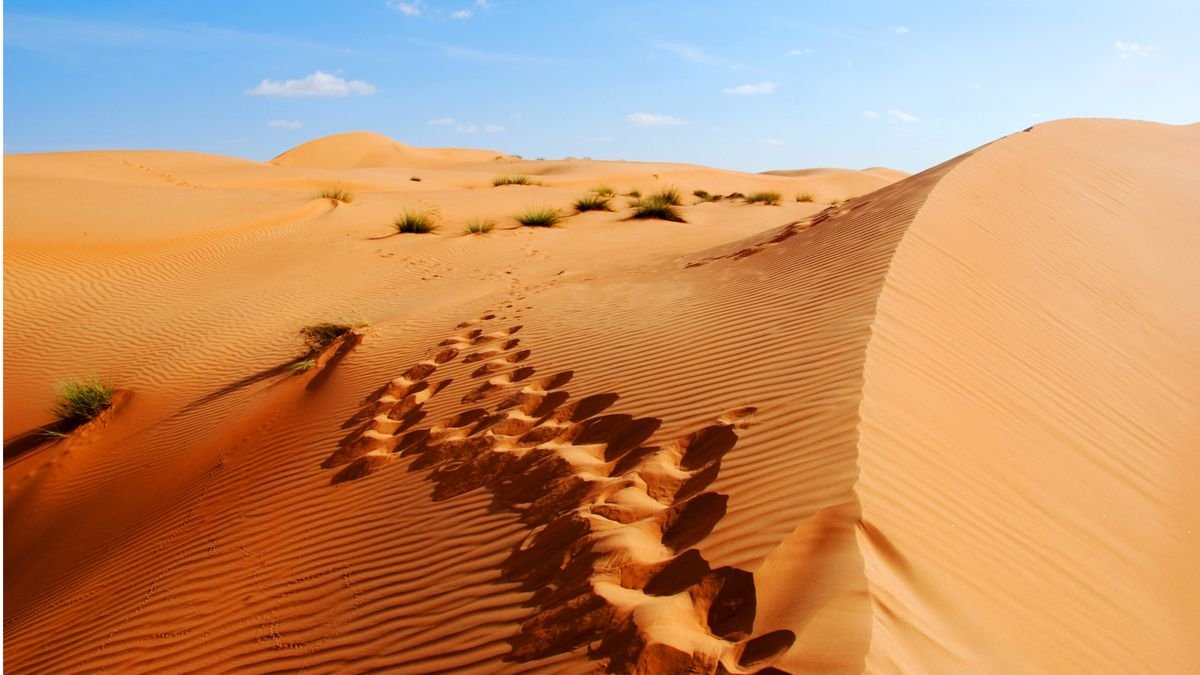 Pustynia Rub Al-Khali