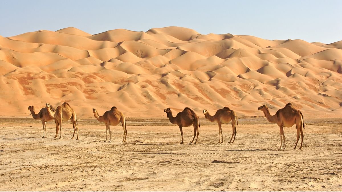Pustynia Rub Al-Khali