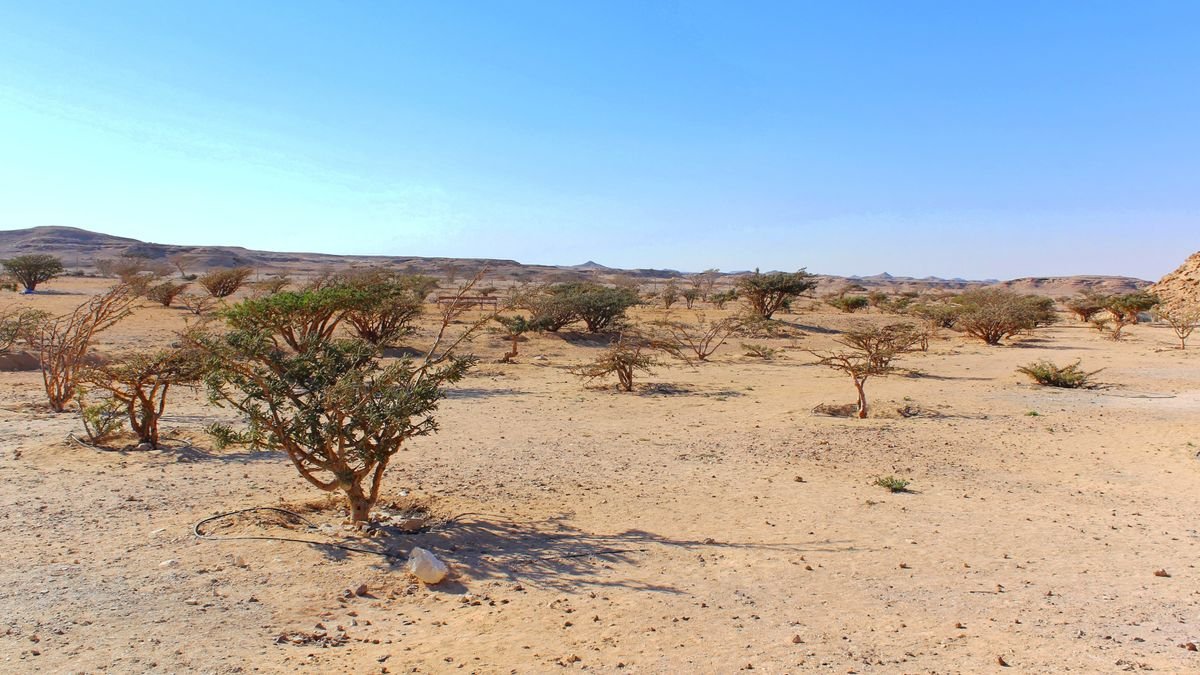 Wadi Dawkah
