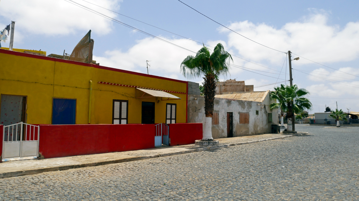 Palmeria