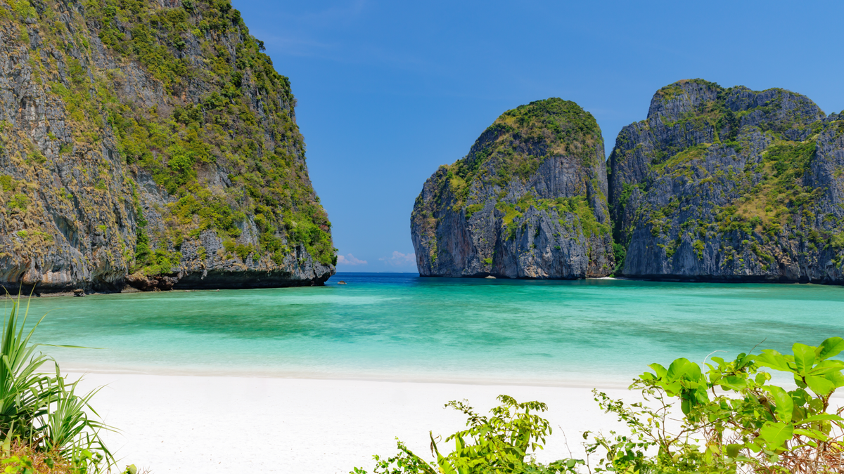 Phi phi 