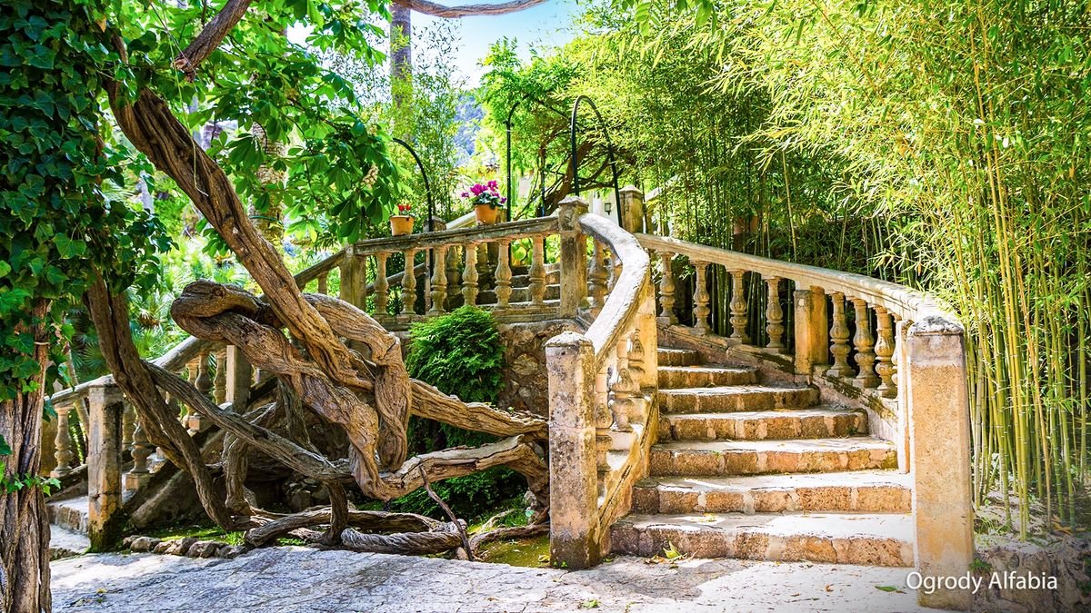 Baleary nie do wiary