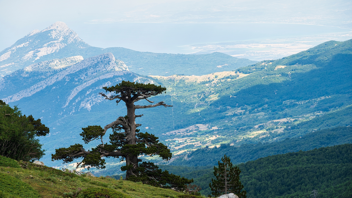 Park Narodowy Pollino 
