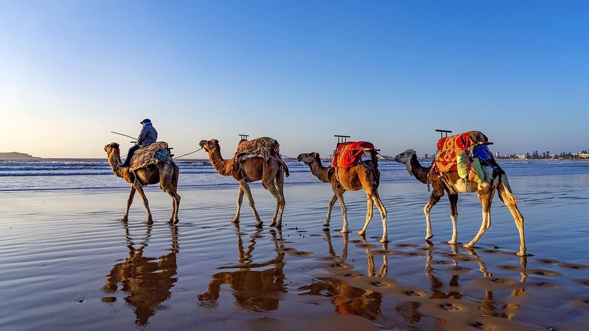 Maroko: Klasyka Orientu + Hotel Oasis