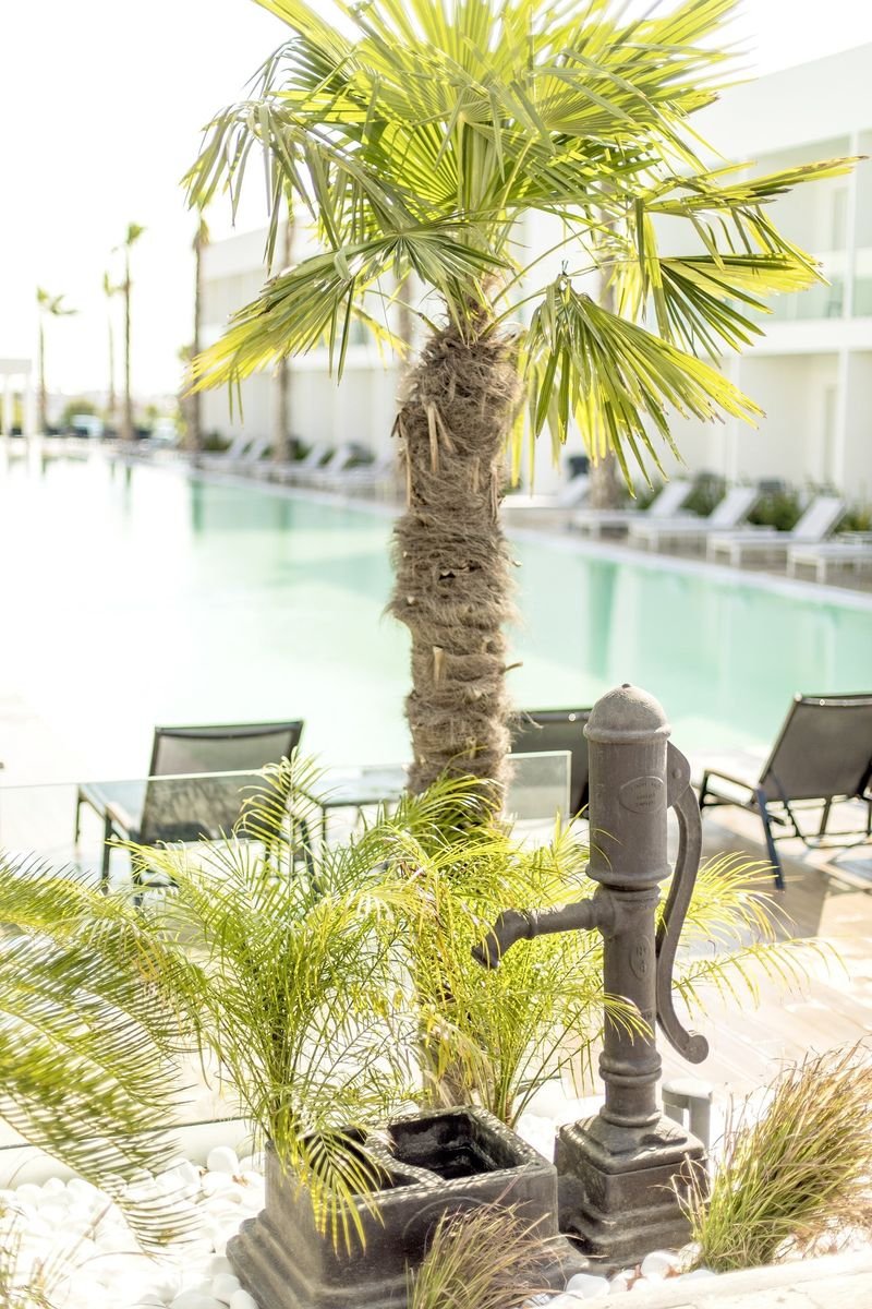 Hotel White Dreams Resort
