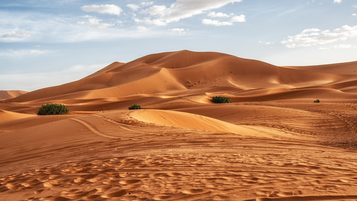 Sahara