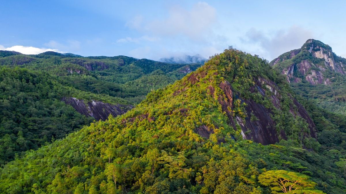 Morne Seychellois