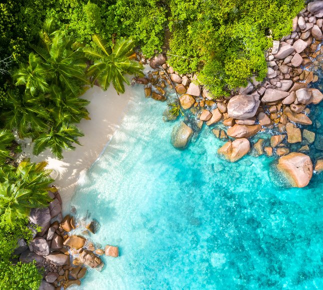 Seszele – kiedy jechać na tę tropikalną wyspę? 